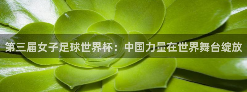 2026年世界杯:第三届女子足球世界杯:中国力量在世界舞台绽放