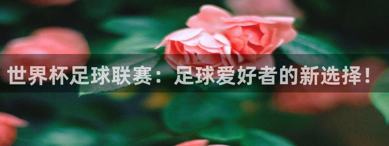 英格兰联赛杯直播:世界杯足球联赛:足球爱好者的新选择!