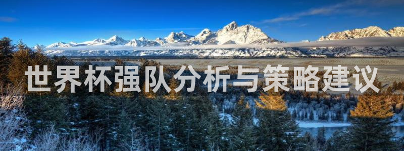 世界杯直播时间:世界杯强队分析与策略建议