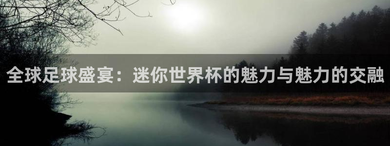 足球比分直播世界杯:全球足球盛宴:迷你世界杯的魅力与魅力的交融