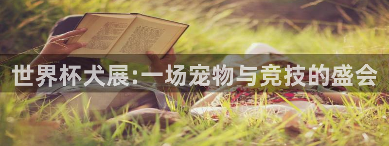 足球世界杯赛程:世界杯犬展:一场宠物与竞技的盛会