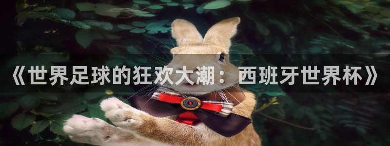 西超杯直播:《世界足球的狂欢大潮:西班牙世界杯》