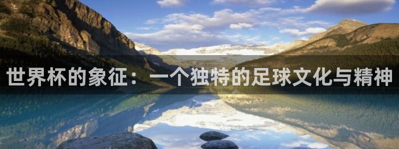 世界杯决赛预测:世界杯的象征:一个独特的足球文化与精神
